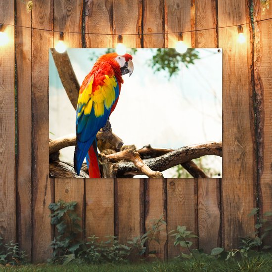 Poster de Jardin Perroquet - Vogel - Arc-en-ciel - Tropical - 200x200 cm - Toile de jardin