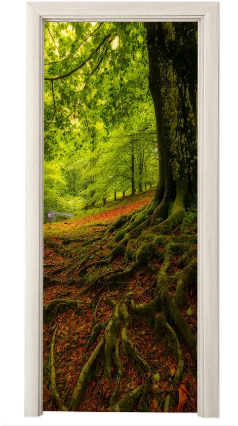 Deurposter 95x235 cm - Deursticker Boom - Bos - Herfstbladeren - Meubelfolie zelfklevend - Deurfolie woonkamer - Interieurfolie fotobehang - Deur plakfolie - Deurstickers - Deurbehang sticker - Kamer decoratie