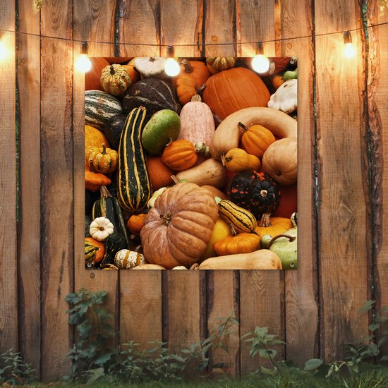 Tuinposter 100x100 cm - Tuindecoratie Pompoen - Herfst - Oranje - Poster voor in de tuin - Buiten decoratie - Schutting tuinschilderij - Tuindoek muurdecoratie - Wanddecoratie balkondoek