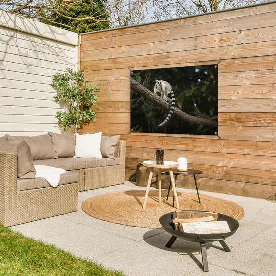 Lémur catta dans son habitat naturel Affiche de jardin 90x60 cm - Toile de jardin / Toile d'extérieur / Peintures d'extérieur (décoration de jardin)