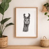 Zwart Wit Poster A3 Alpaca – Dierenposter Kinderkamer – 29,7x42 cm – Kraamcadeau – 300g Mat Papier – Lieve Posters
