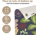 Afbeelding nummer  7