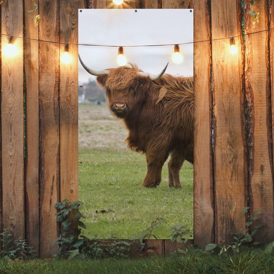 Affiche de clôture Scottish Highlander - Vache - Herbe - 100x200 cm - Toile de jardin