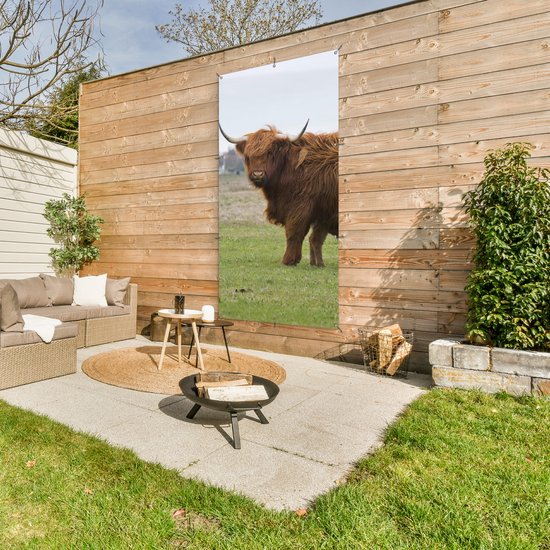 Affiche de clôture Scottish Highlander - Vache - Herbe - 100x200 cm - Toile de jardin