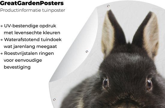 Garden Circle Lapin - Animaux domestiques - Fourrure - 60x60 cm - Affiche de Jardin Ronde - Extérieur