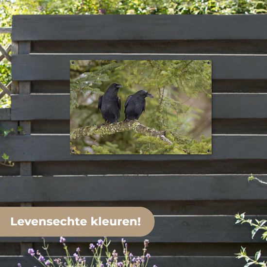 Deux corbeaux noirs sont assis ensemble sur une branche Affiche de jardin 90x60 cm - Toile de jardin / Toile d'extérieur / Peintures d'extérieur (décoration de jardin)