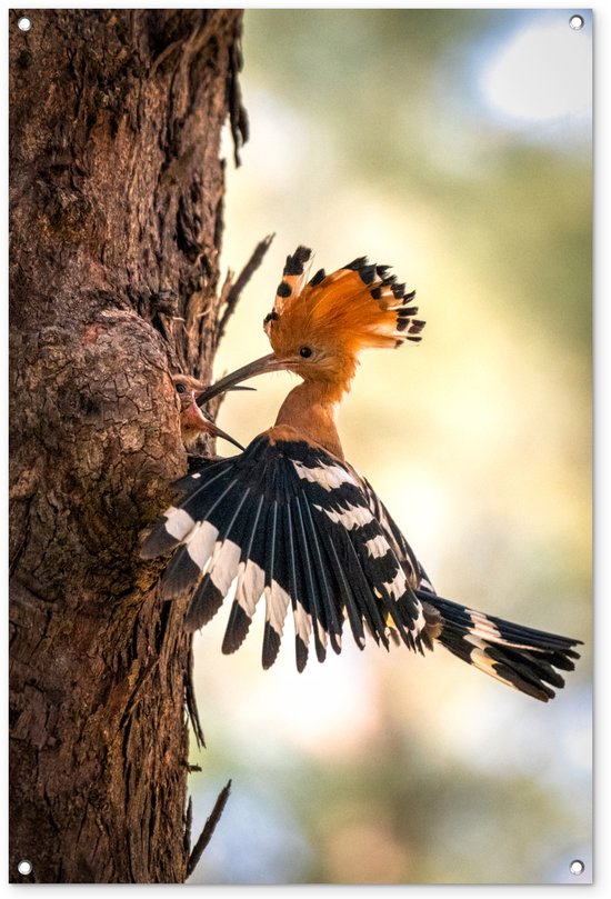 Tuinposter 80x120 cm - Tuindecoratie Vogel - Boom - Portret - Poster voor in de tuin - Buiten decoratie - Schutting tuinschilderij - Tuindoek muurdecoratie - Wanddecoratie balkondoek