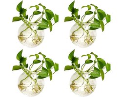 Ronde Glazen Plantenpotten - Mooie Muurdecoratie - 4 Stuks - 10cm Diameter