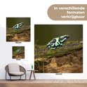 Een groene pijlgifkikker met zwarte patronen op een mosbegroeid stuk hout, getoond in formaten 100x100 en 200x200.