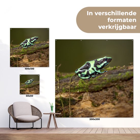 Een groene pijlgifkikker met zwarte patronen op een mosbegroeid stuk hout, getoond in formaten 100x100 en 200x200.