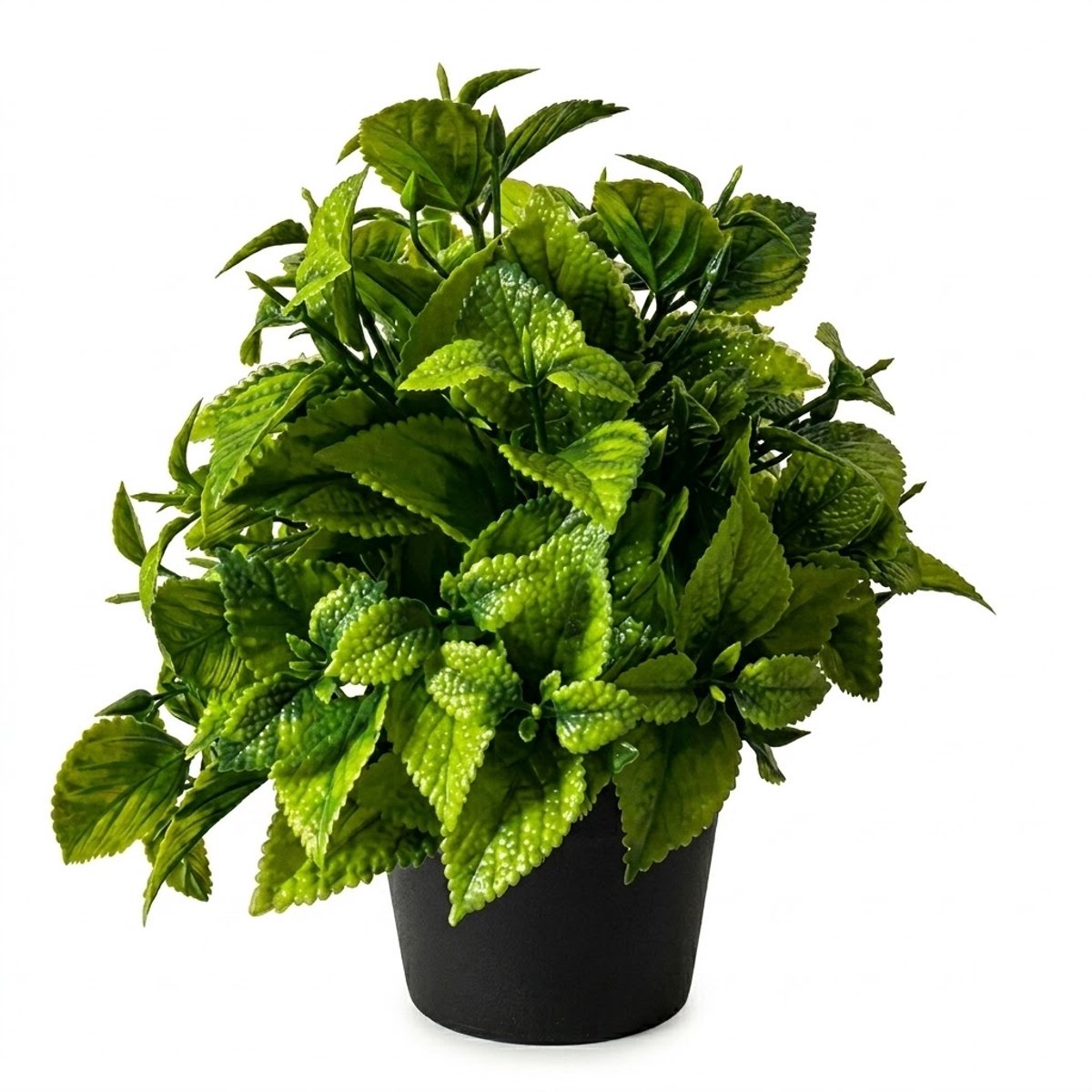 NUVEX Groene kunstplant varen bonsai in zwarte pot – decoratieve nep plant voor huis en kantoor – compacte tafel decoratie voor woonkamer, bureau of kast – kunststof sierplant met realistische bladeren Groen - style 2