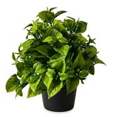 Groene kunstvaren met realistische bladeren in een zwarte pot.