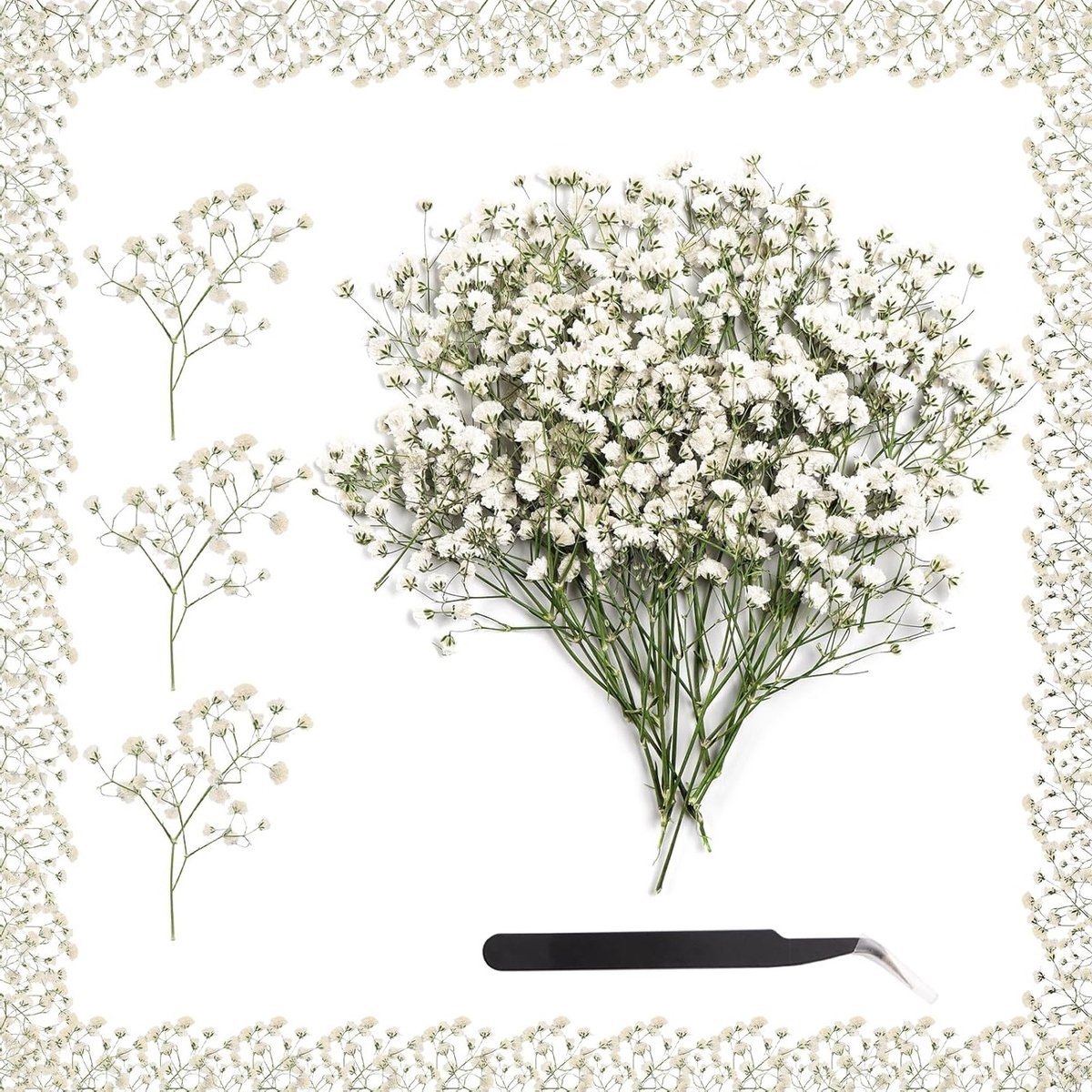 Allecto Plus - 100 Natuurlijke Witte Gedroogde Gypsophila Bloemen voor DIY Decoratie - Handwerk en Scrapbooking Essentials