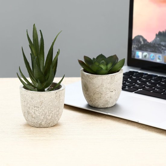 Twee kleine kunstplanten, een groenstruik en een vetplant, op een bureau naast een laptop.