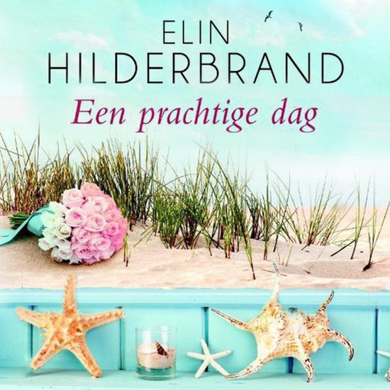Een prachtige dag - cover