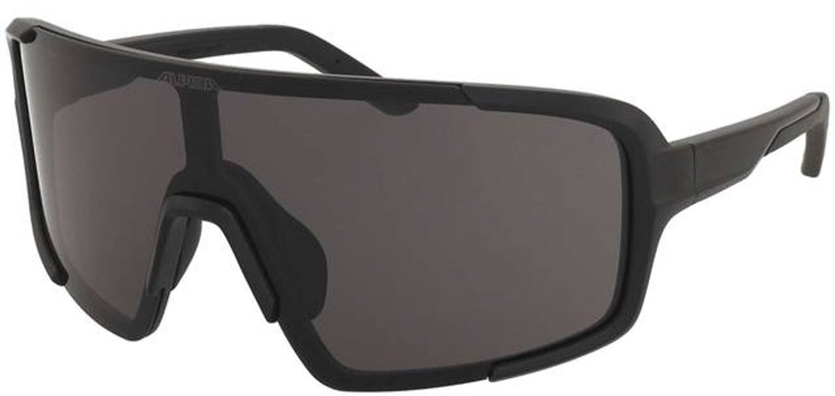 Zonnebril Alpina Lumin Black Matt/Black