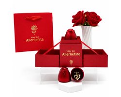 Liefdes Cadeau voor Haar – Roos Cadeaubox met Hart Ketting – Romantisch Cadeau voor Vriendin of Vrouw Verjaardag