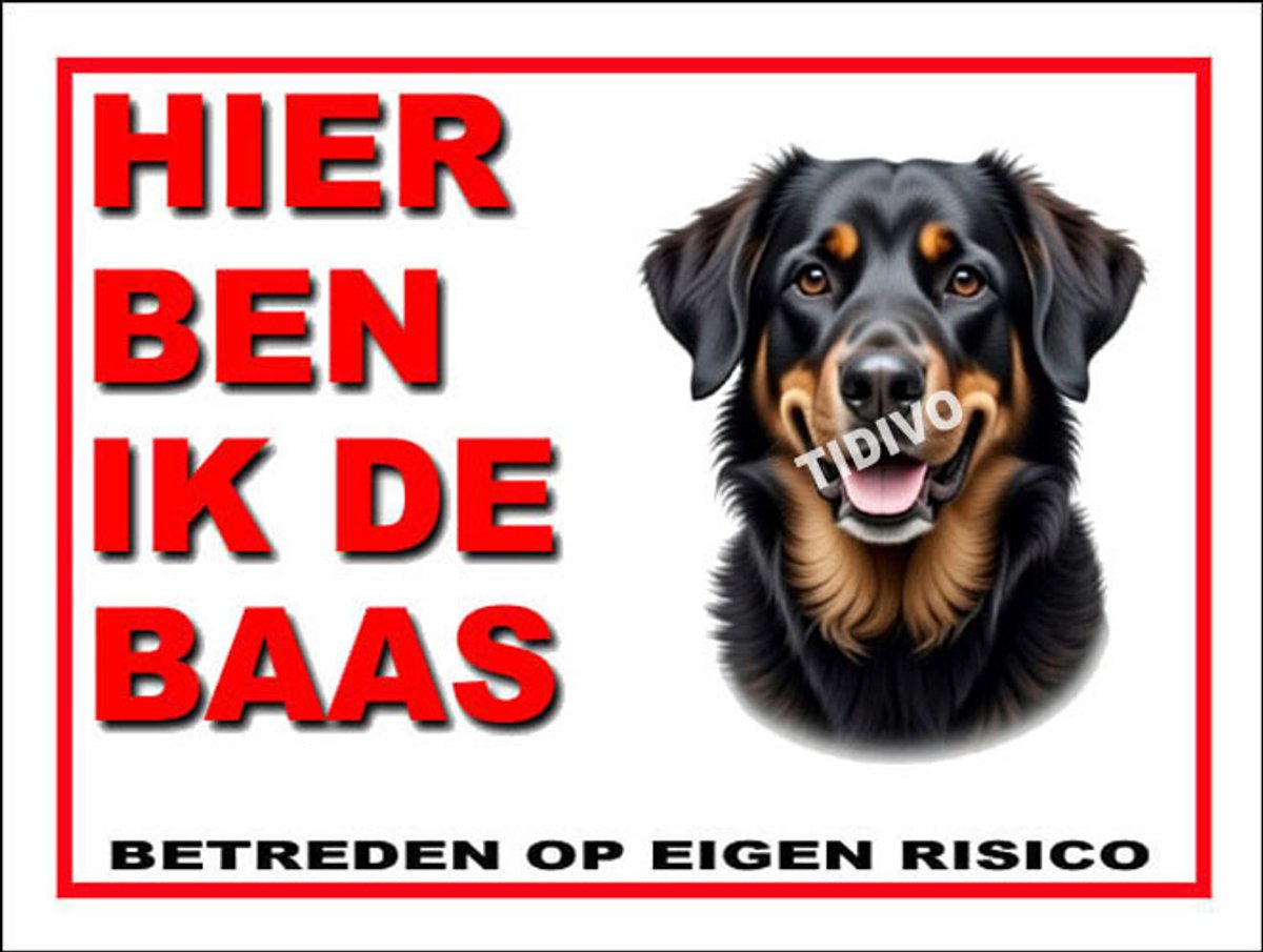 Tiroler Brak 2