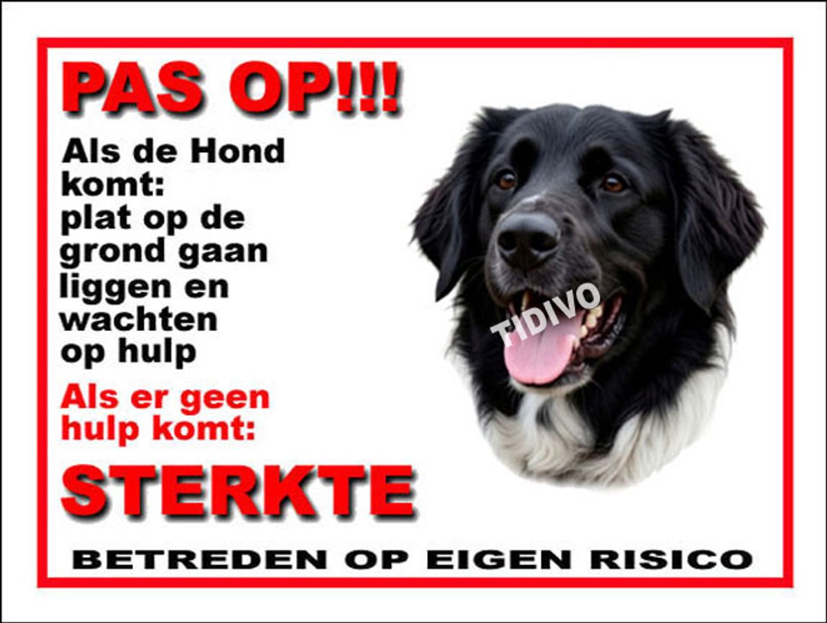 Stabijhound 12