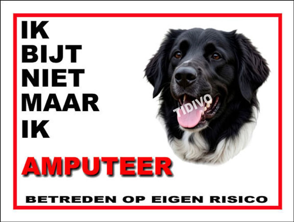 Stabijhound 5