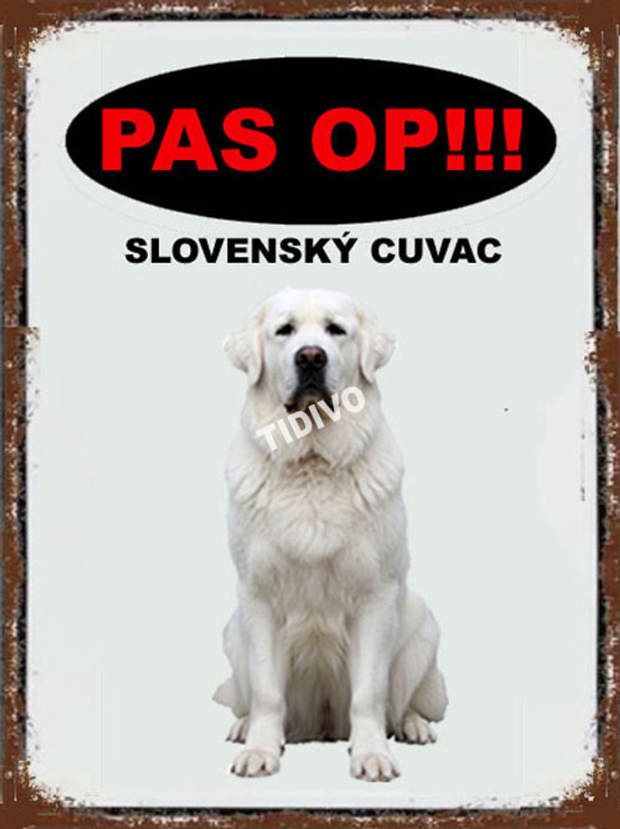 Slovenský Cuvac 17