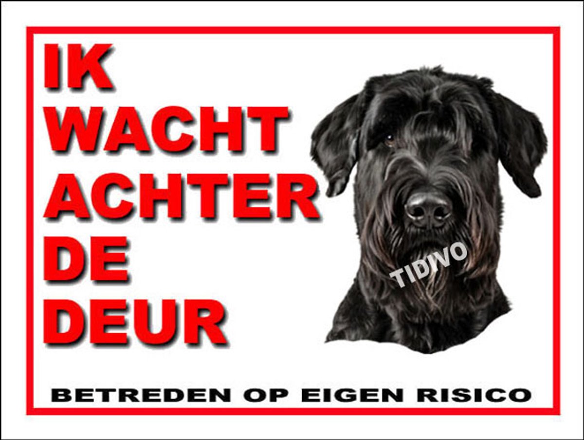 Riesenschnauzer 10