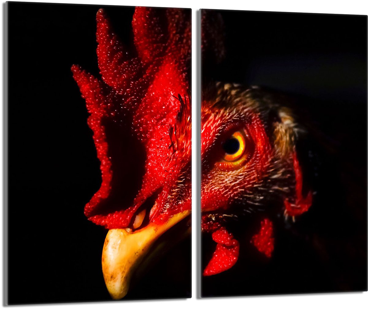TMK ArtDeko Serie - Kookplaatbeschermers - 30x52 cm - Kogut Motief - Geharde Glas