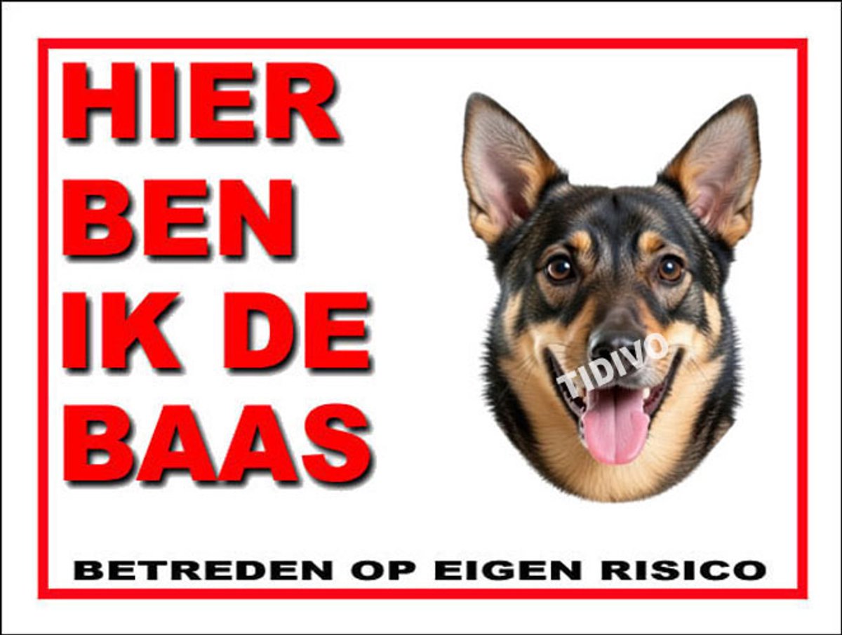 Västgötaspets 2