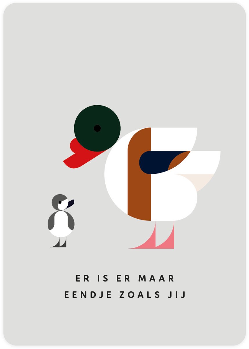Eendje - Wenskaarten met Bergeenden - Set van vier kaarten - Er is er maar eendje zoals jij