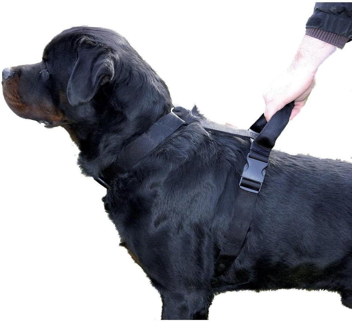 Hondenharnas met greep - Honden tuigje - Veilig uitlaten - Geïntegreerde handgreep - 90-110cm - Zwart
