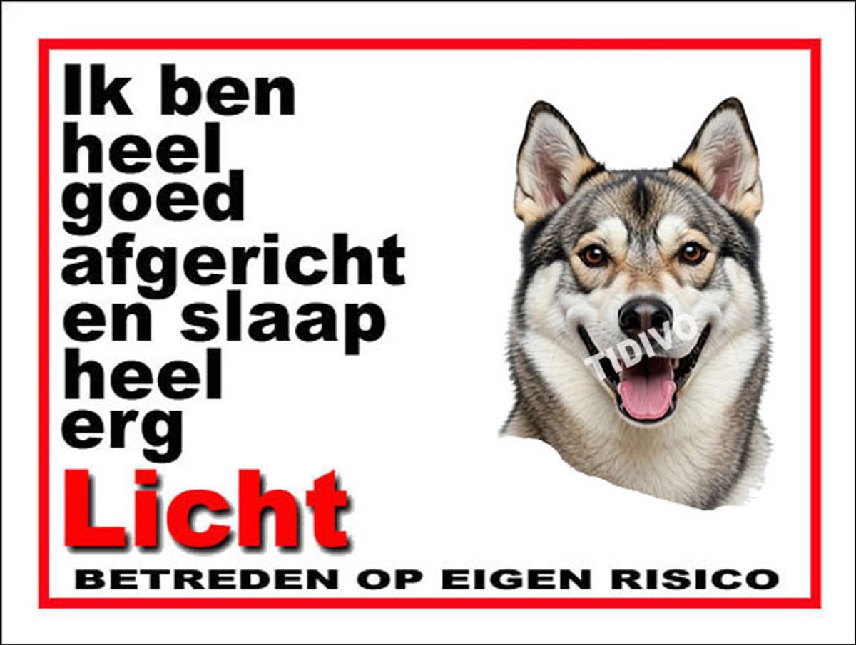 Westsiberische Laika 4