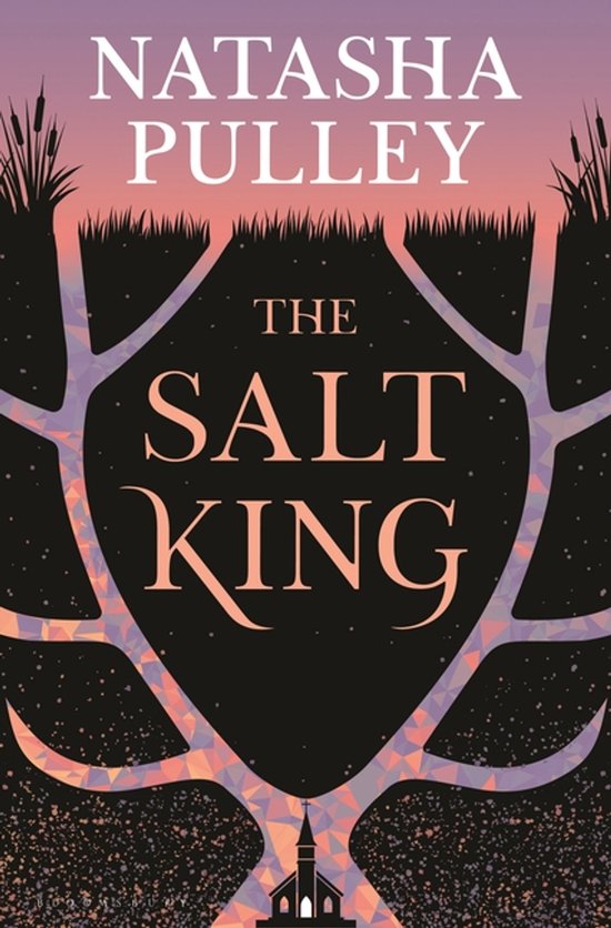 The Salt King - cover