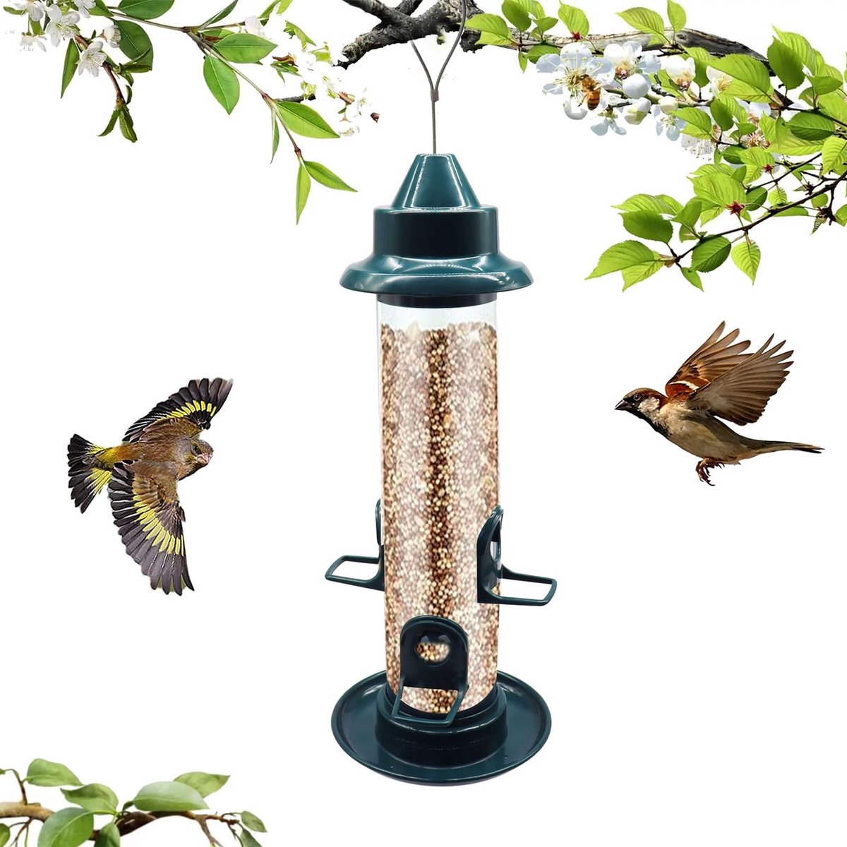 Allecto - Hangende Voederbak voor Vogels - Eekhoornbestendig - Verstelbare Haak - Groen - Automatische Voederbak - Tuindecoraties voor Vogels