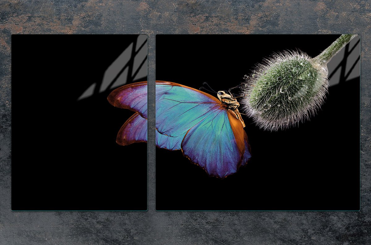 TMK ArtDeko - Snijplank en Beschermplaat - Motyl - 100x52 cm - Hergebruikbaar