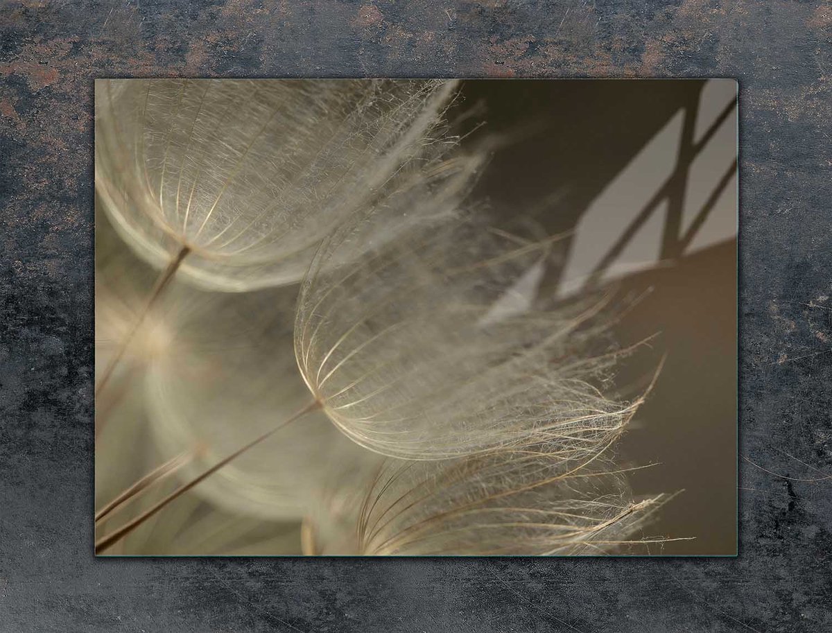 TMK ArtDeko - Snijplank - Beschermplaat - 70cm x 52cm - Kleur Kwiat