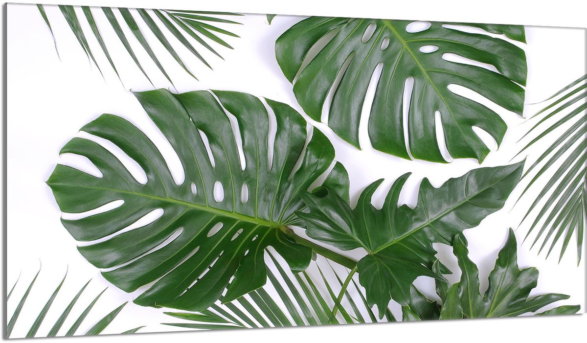 TMK ArtDeko Serie - Glazen Beschermplaat - 90x52 cm - Monstera - Hittebestendig
