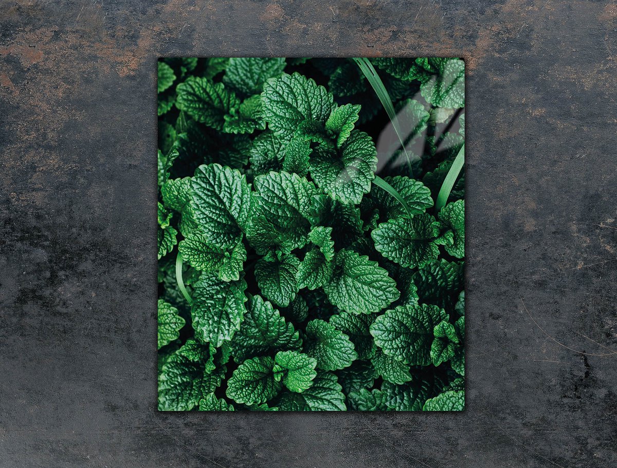 TMK ArtDeko Serie - Snijplank van Gehard Glas - 45x52 cm - Beschermende Keukenplaat