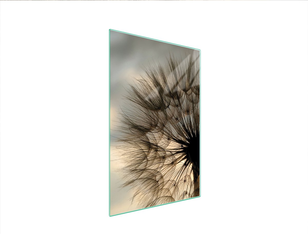TMK ArtDeko - Snijplank van Glas - 35x52 cm - Kookplaatbeschermer - Kleurige Bloemen