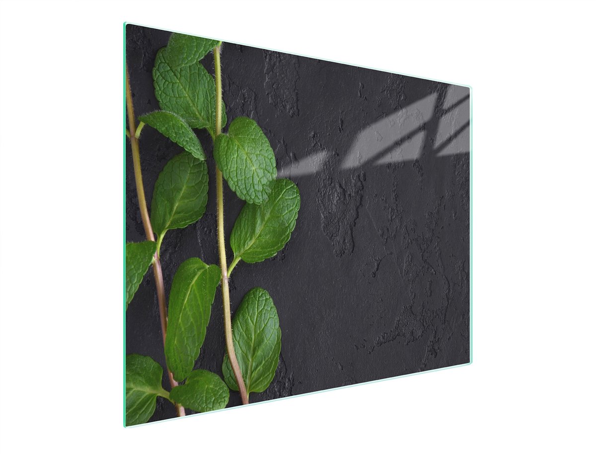 TMK ArtDeko 52x30 Serie - Snijplank - Mintkleur - Glas - Antislip