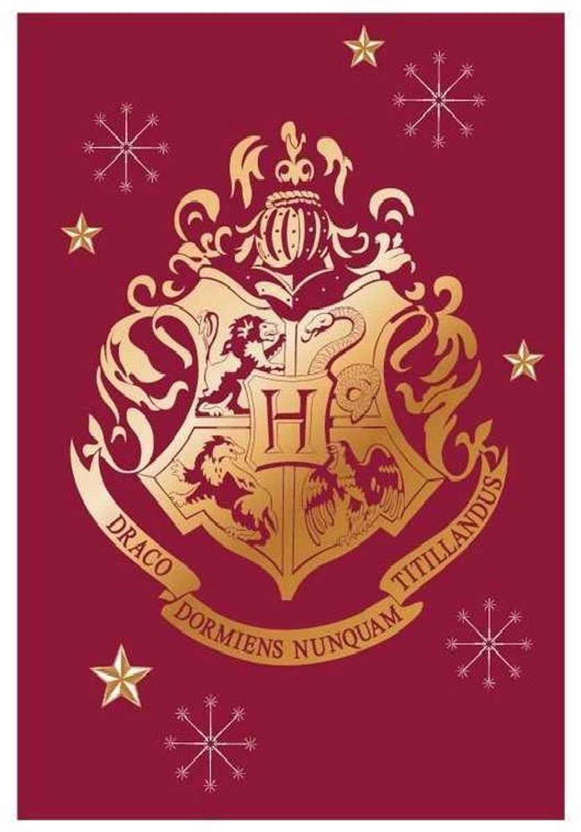 Harry Potter Fleecedeken - Plaid - Deken - 100 x 140 cm. Multi