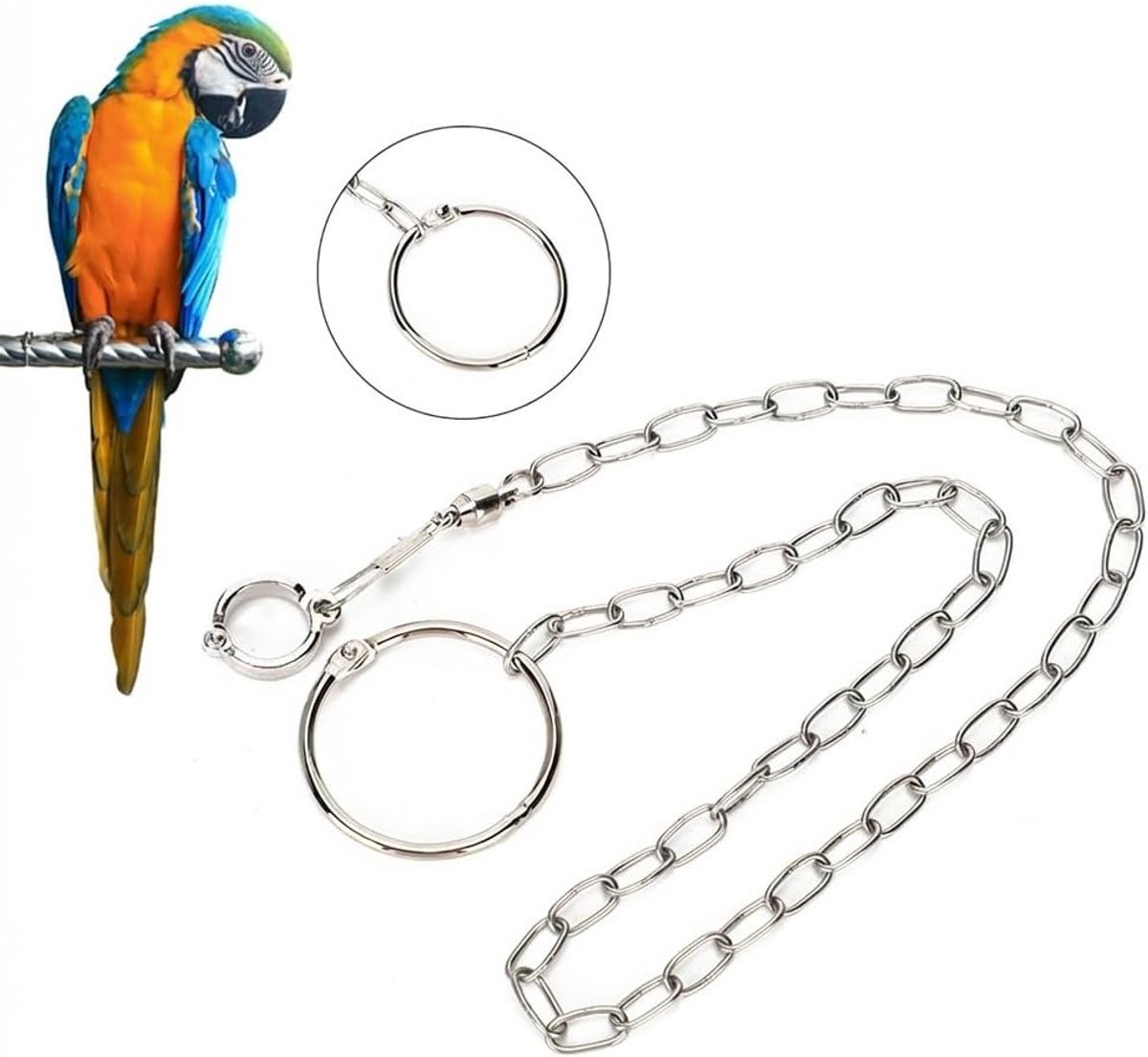 Grote Rvs Split Voetketting met Draaihaak, Geschikt voor Grote Papegaaien zoals Zonnepapegaai en Grijze Duif, 21.3 cm