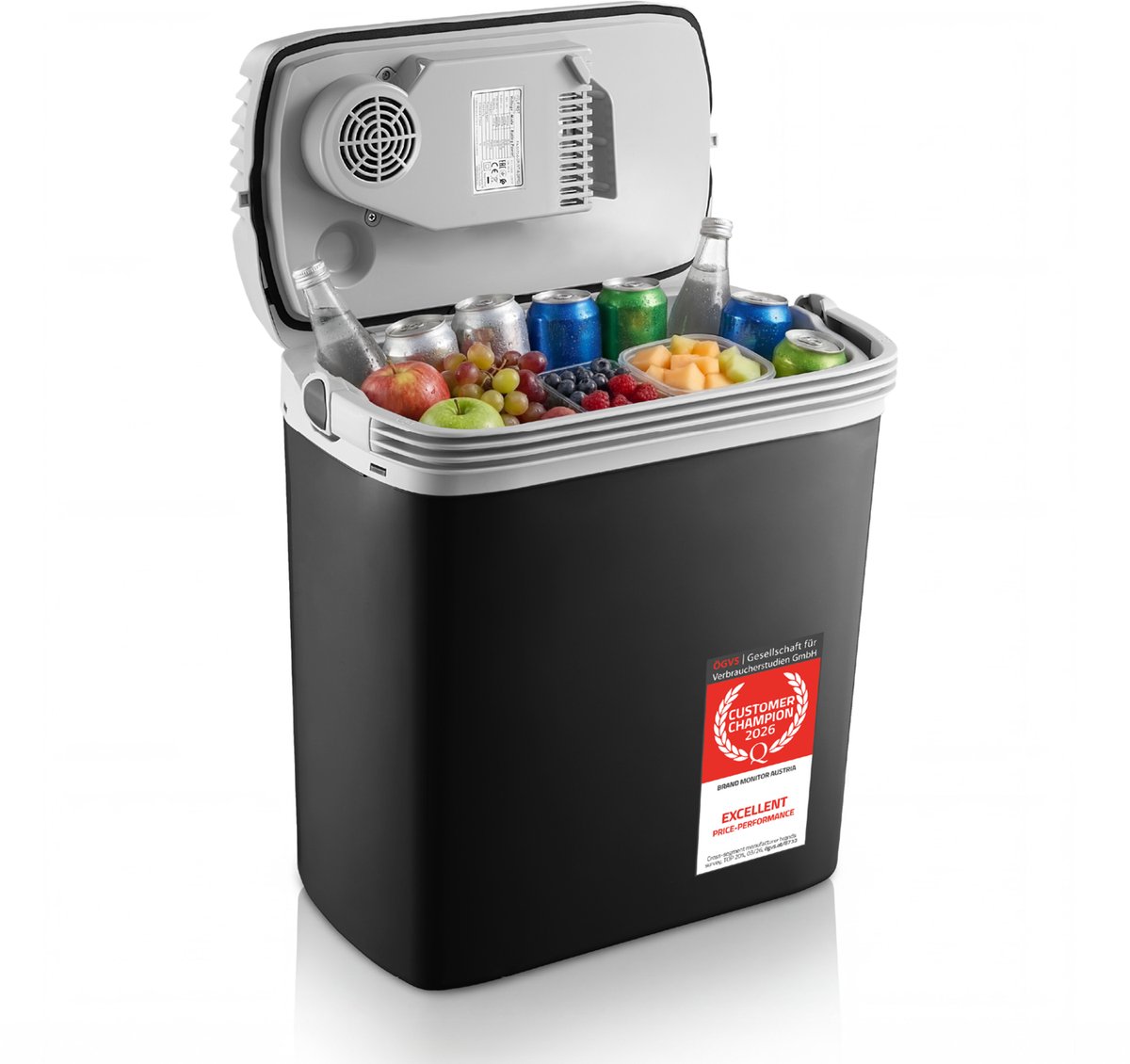 TZS First Austria Elektrische Koelbox - 19L - 12V en 230 volt - Frigobox - Koelen en Verwarmen - Zwart