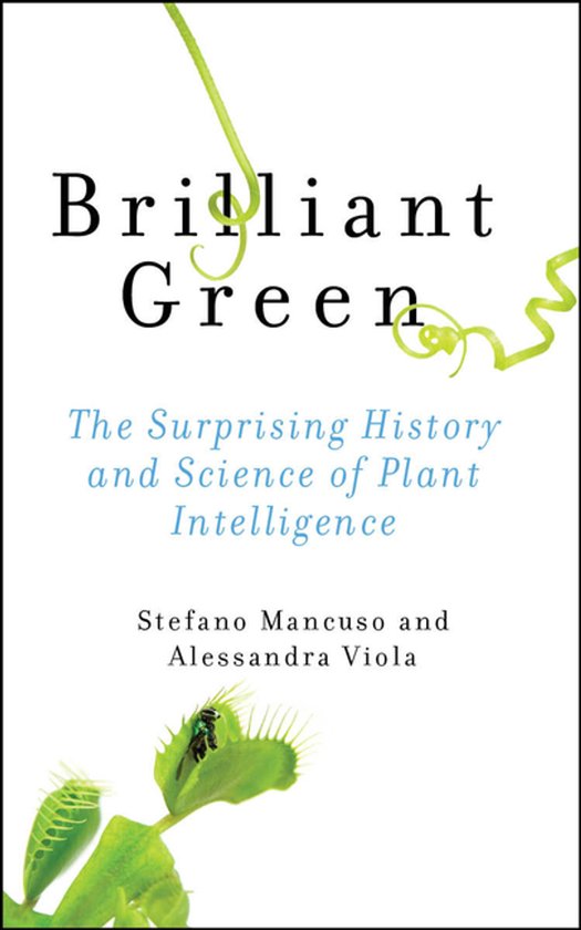 Brilliant Green - cover