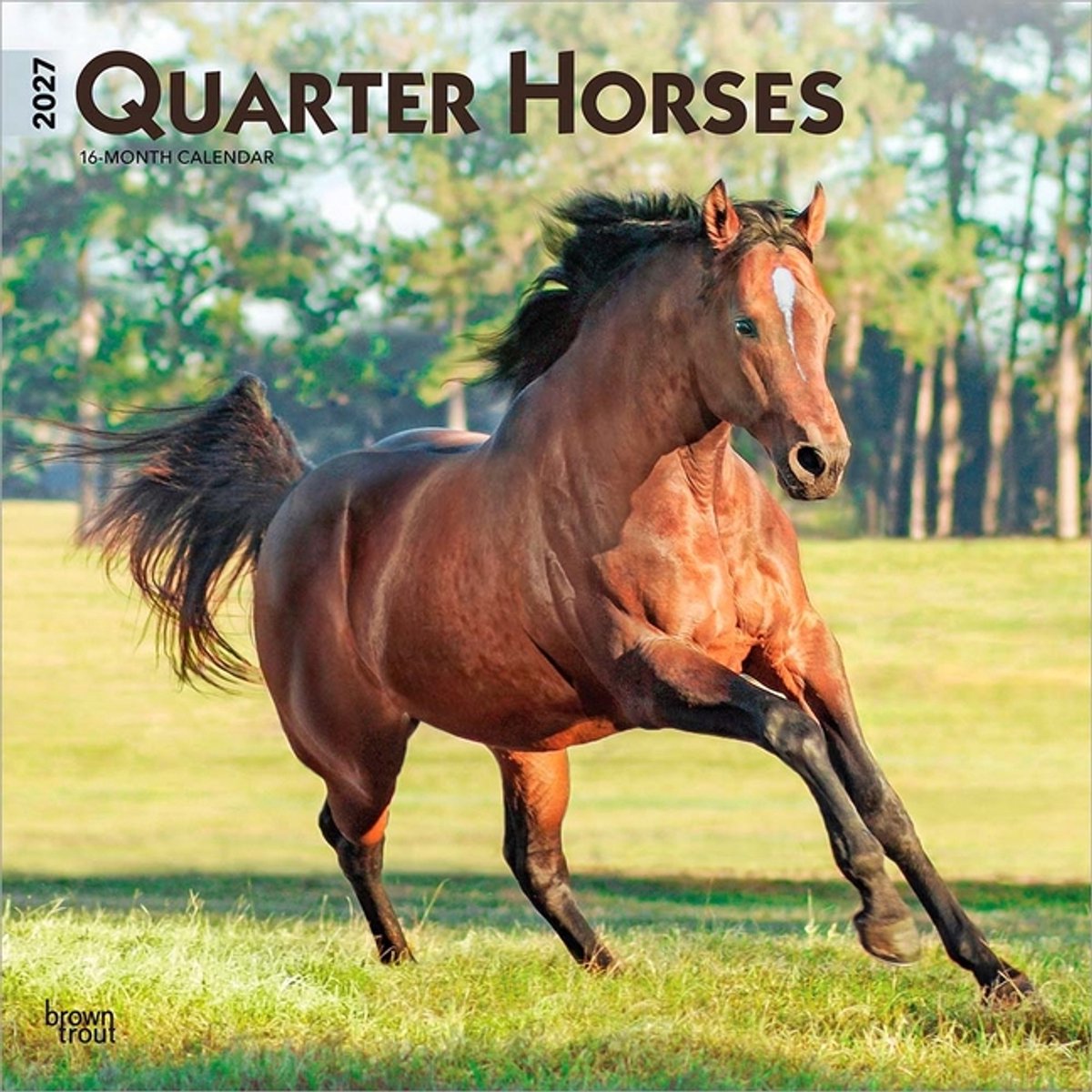 Quarter Horse Kalender 2027