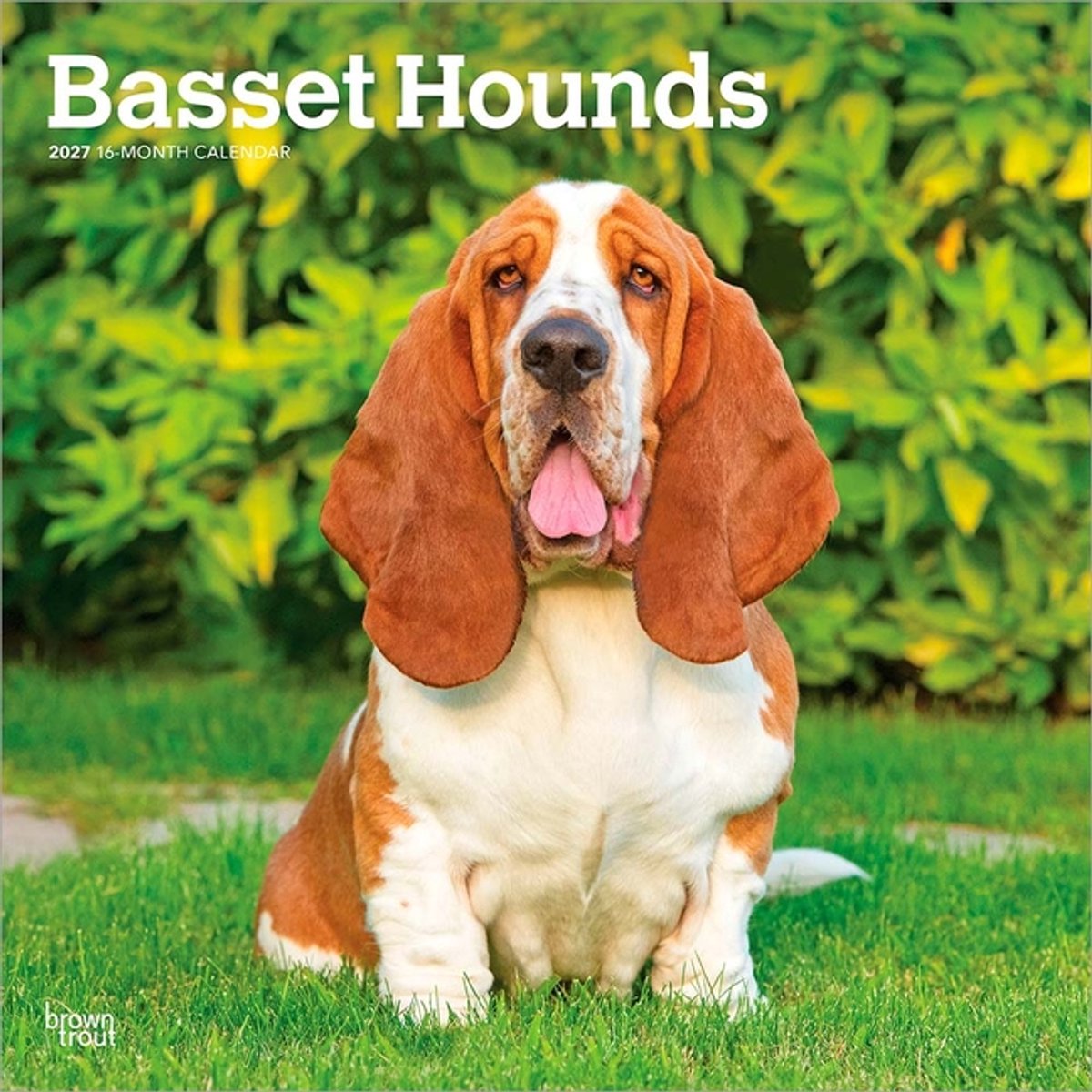 Basset Hound Kalender 2027