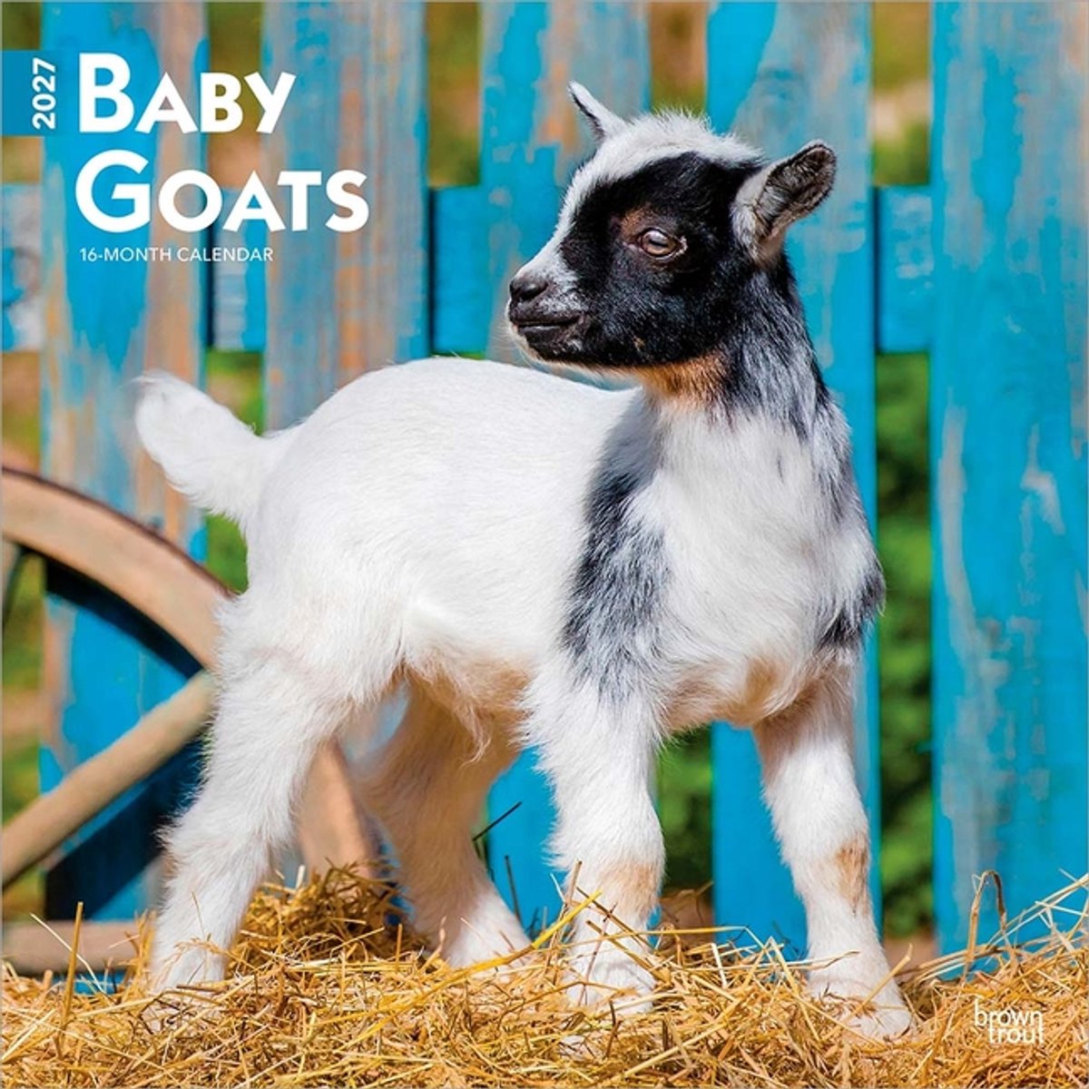 Baby Geitjes Kalender 2027