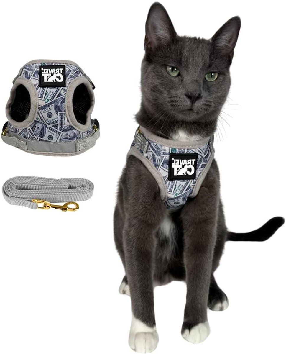 Kattenharnas en riemset - Katten tuigje - Buiten wandelen - Ontsnappingsbestendig - Borst 24-30 cm - Cash Kat