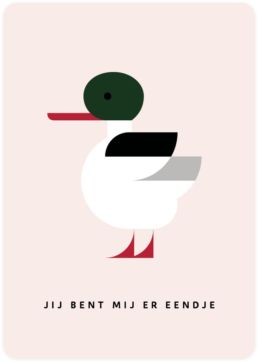Jij bent mij er eendje - 4x leuke wenskaarten om te versturen - kaartenset - kaart met Grote Zaagbek - vier kaarten met vogels