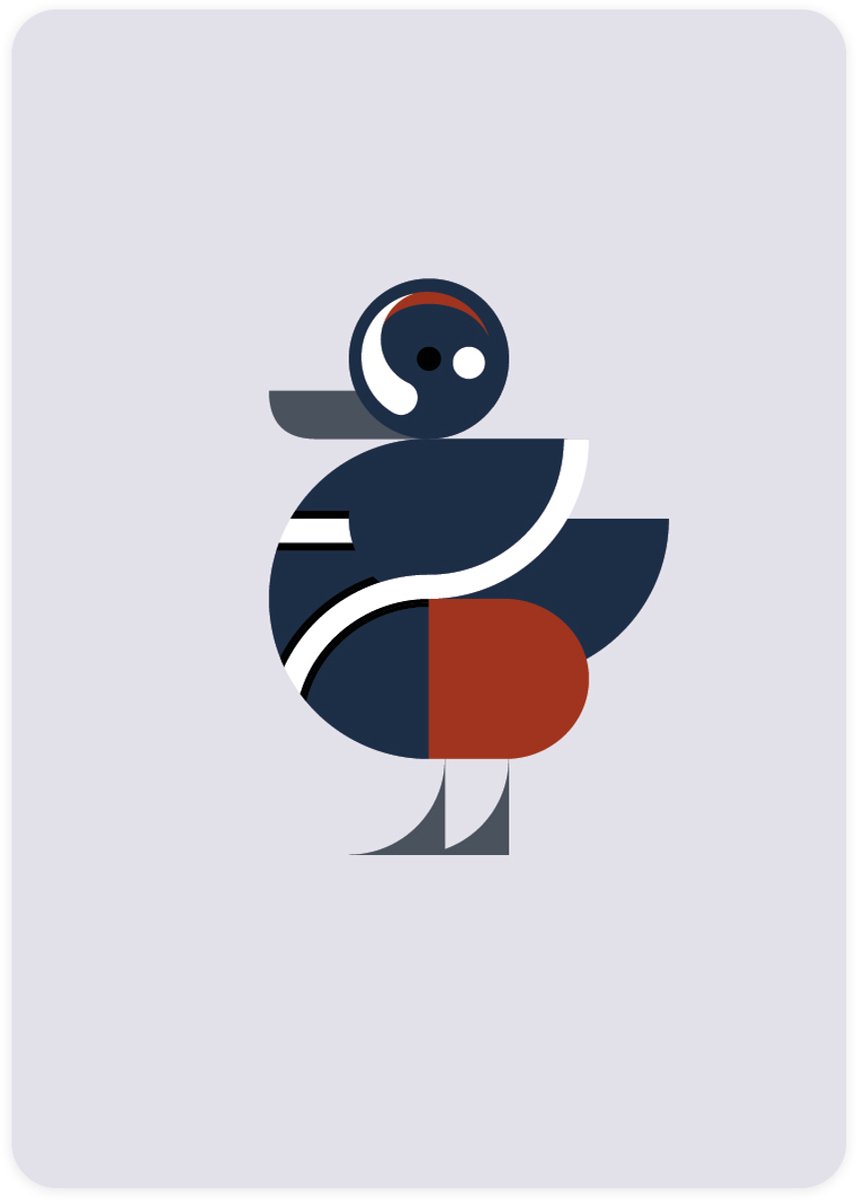Eendje - 4x leuke wenskaarten - kaarten om te versturen - kaartenset - kaart met Harlekijneend - vier kaarten met vogels