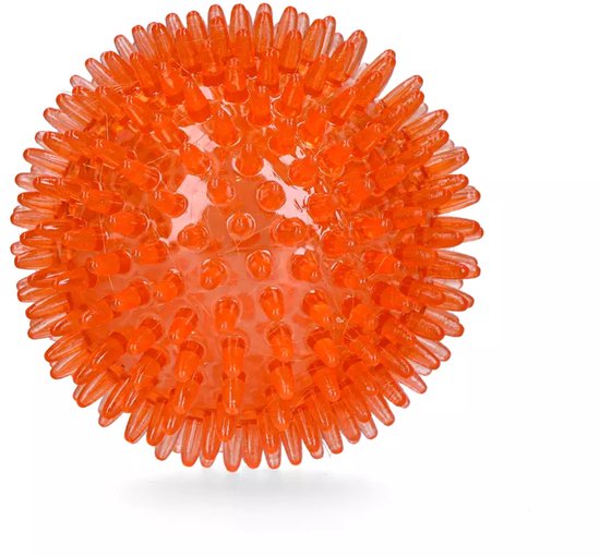 Hondenspeelbal,45 cm ophlaasbare stuiterende bal met handpomp